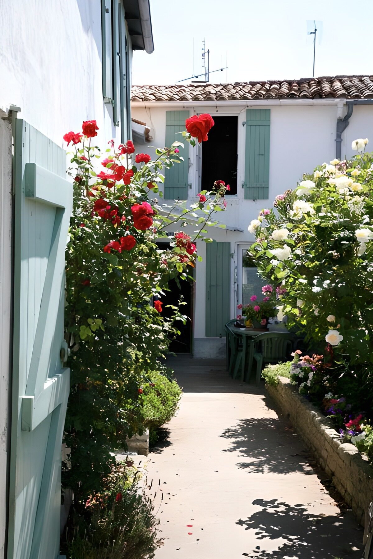 CW4457760: Sfeervol tuinpad met rozen