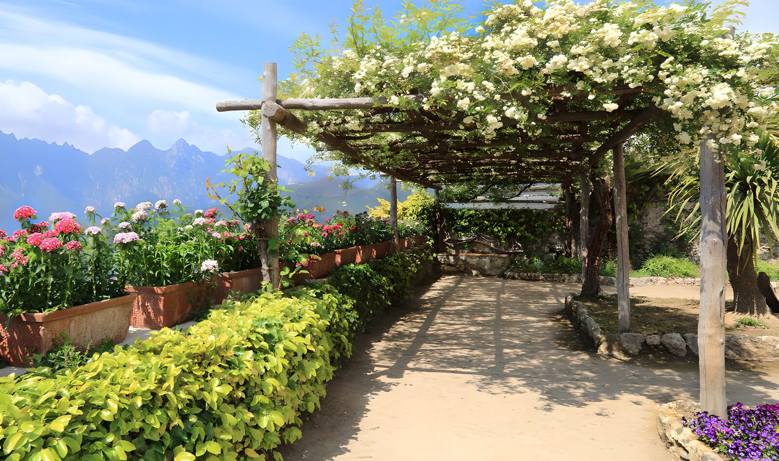 CW2516519: Bloemenrijk onder een pergola