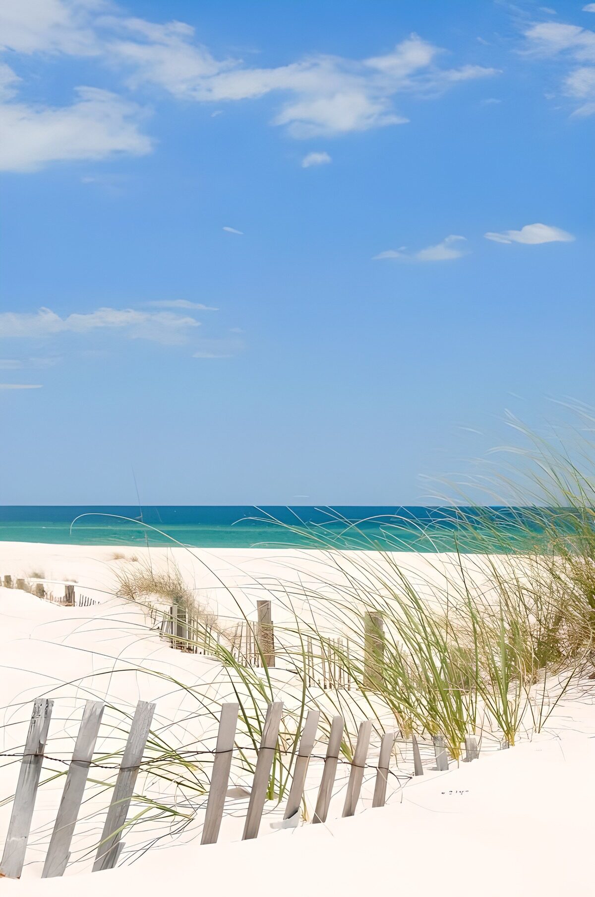 Zandstrand met groene zee