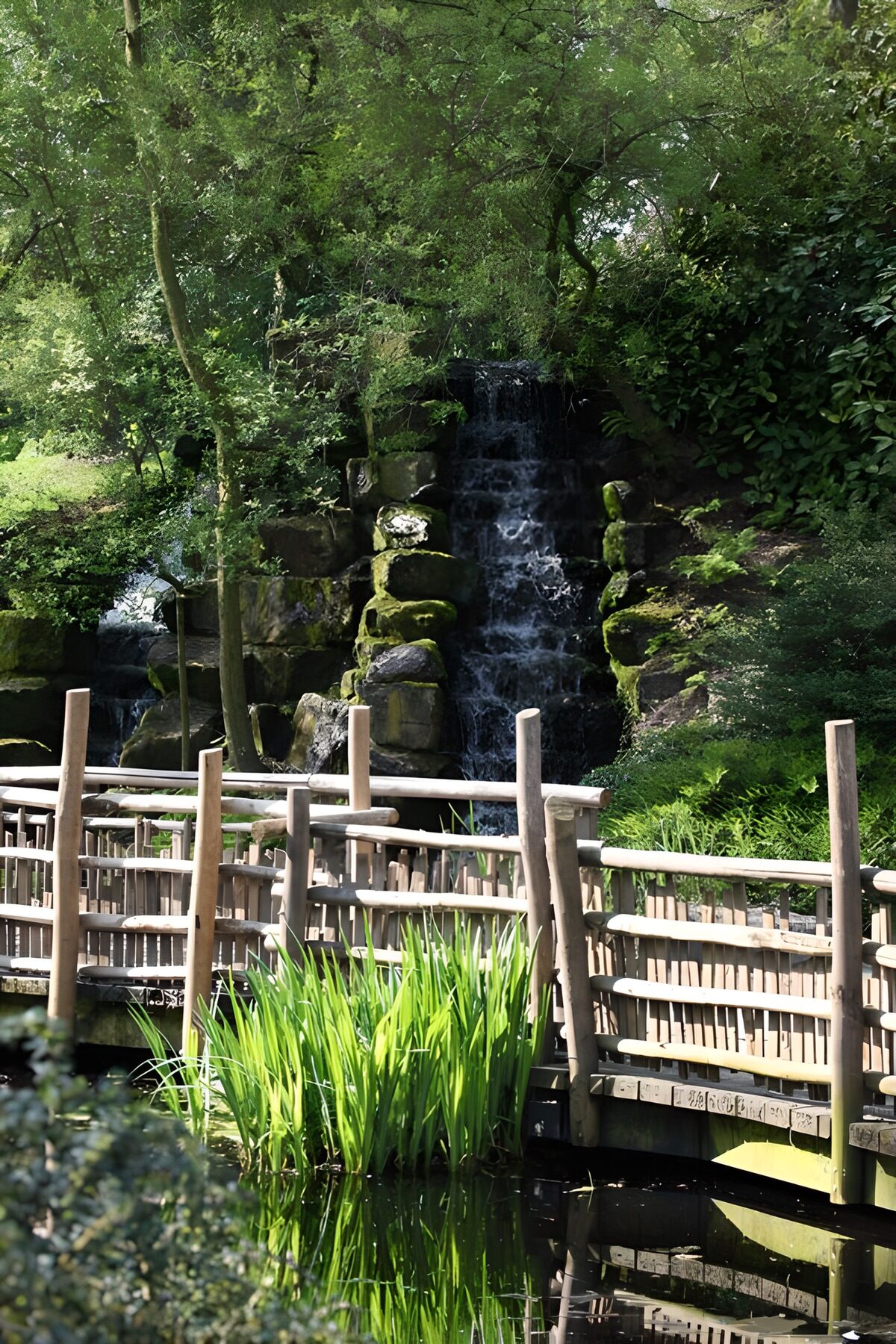 CW5201912: Rustige waterval in een groene omgeving