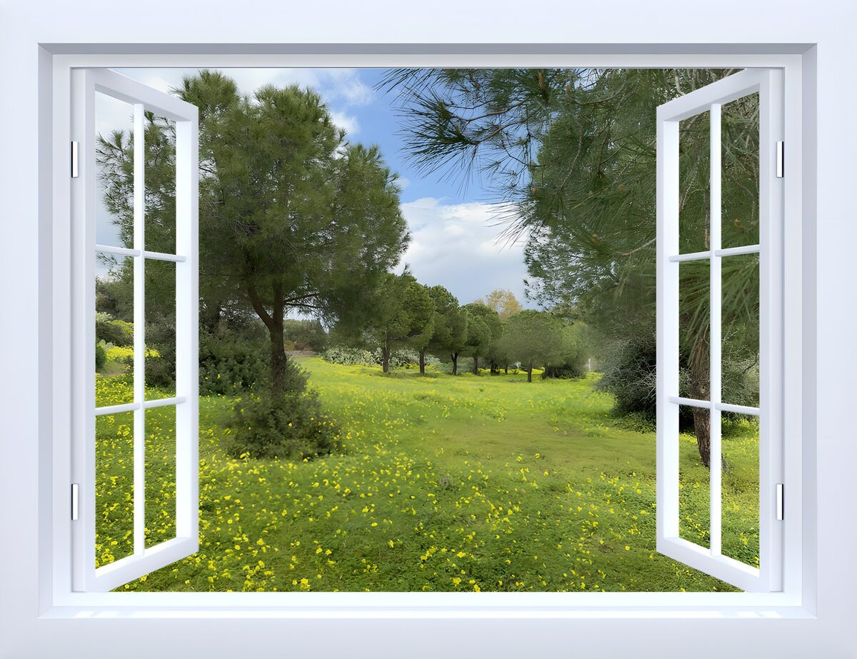Uitzicht op een groen landschap