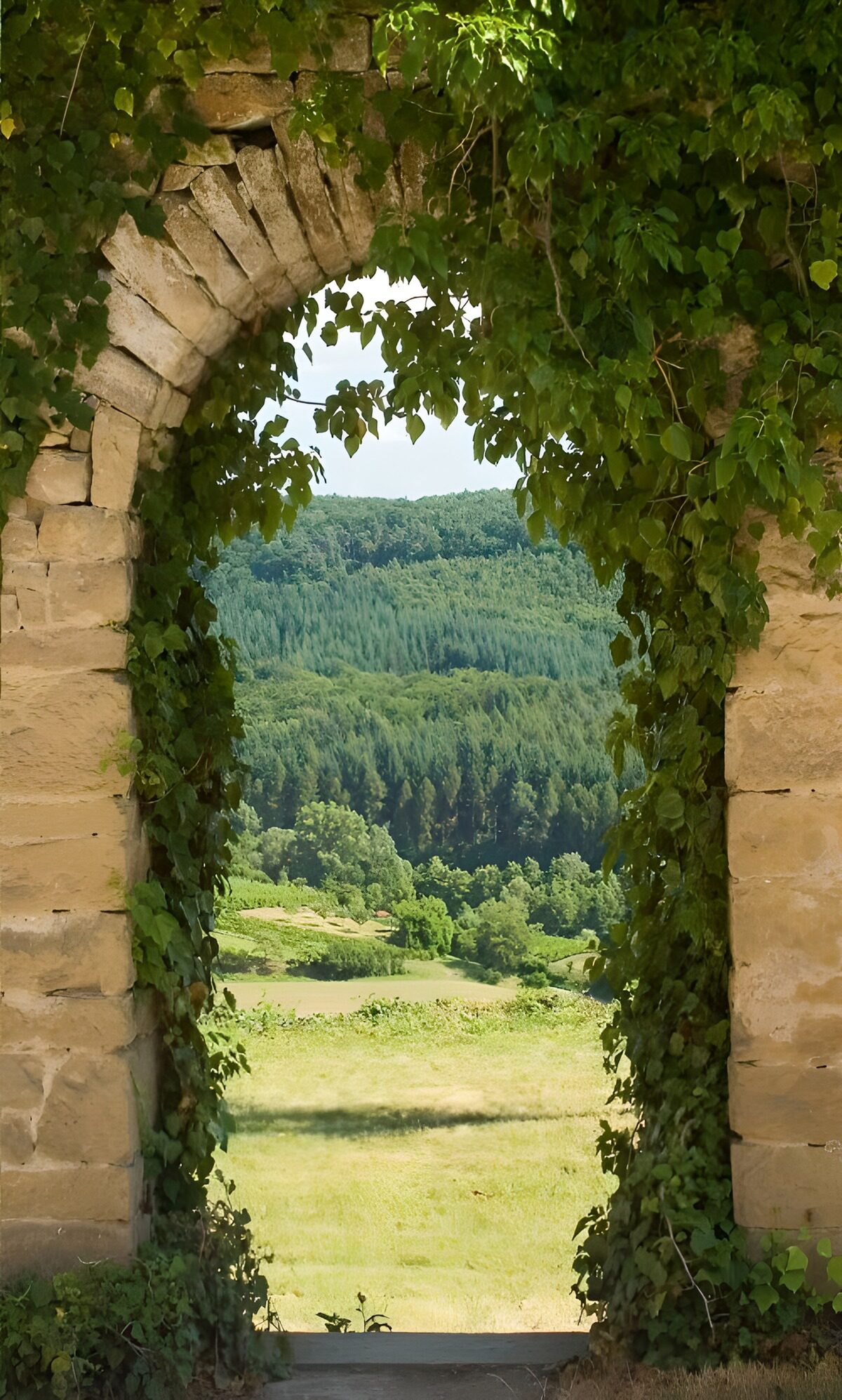 Groene Poort naar het Landschap