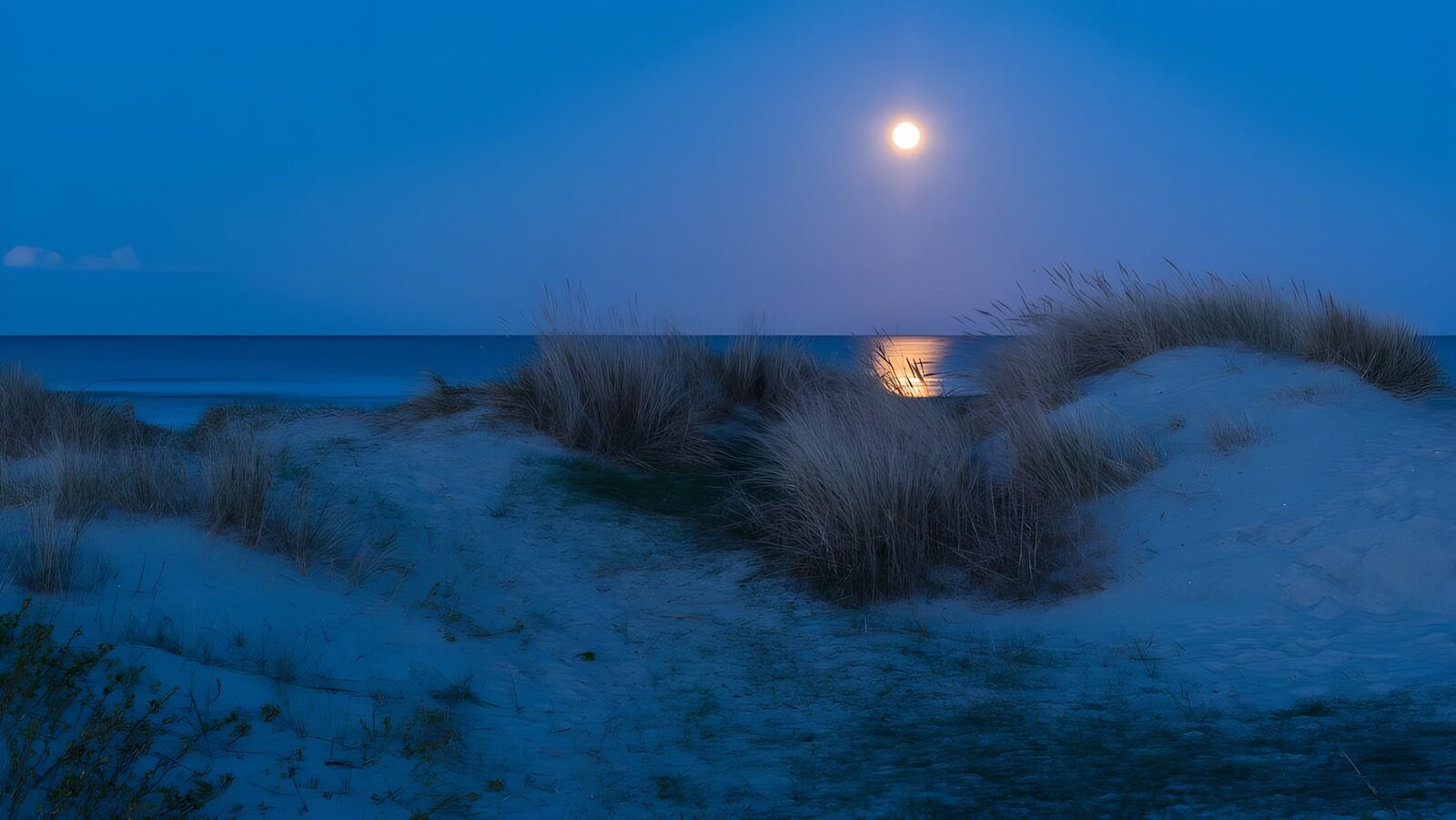 CW1563111: Magische volle maan boven de zee