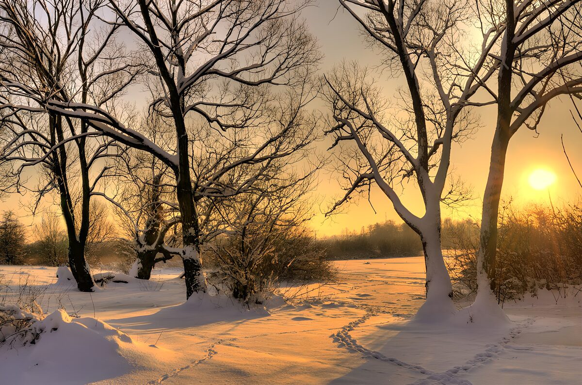CW2602371: Betoverend winterlandschap bij zonsondergang
