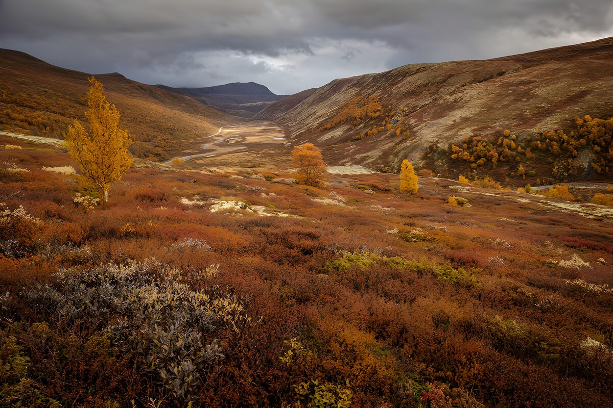 Prachtig herfstlandschap in de bergen