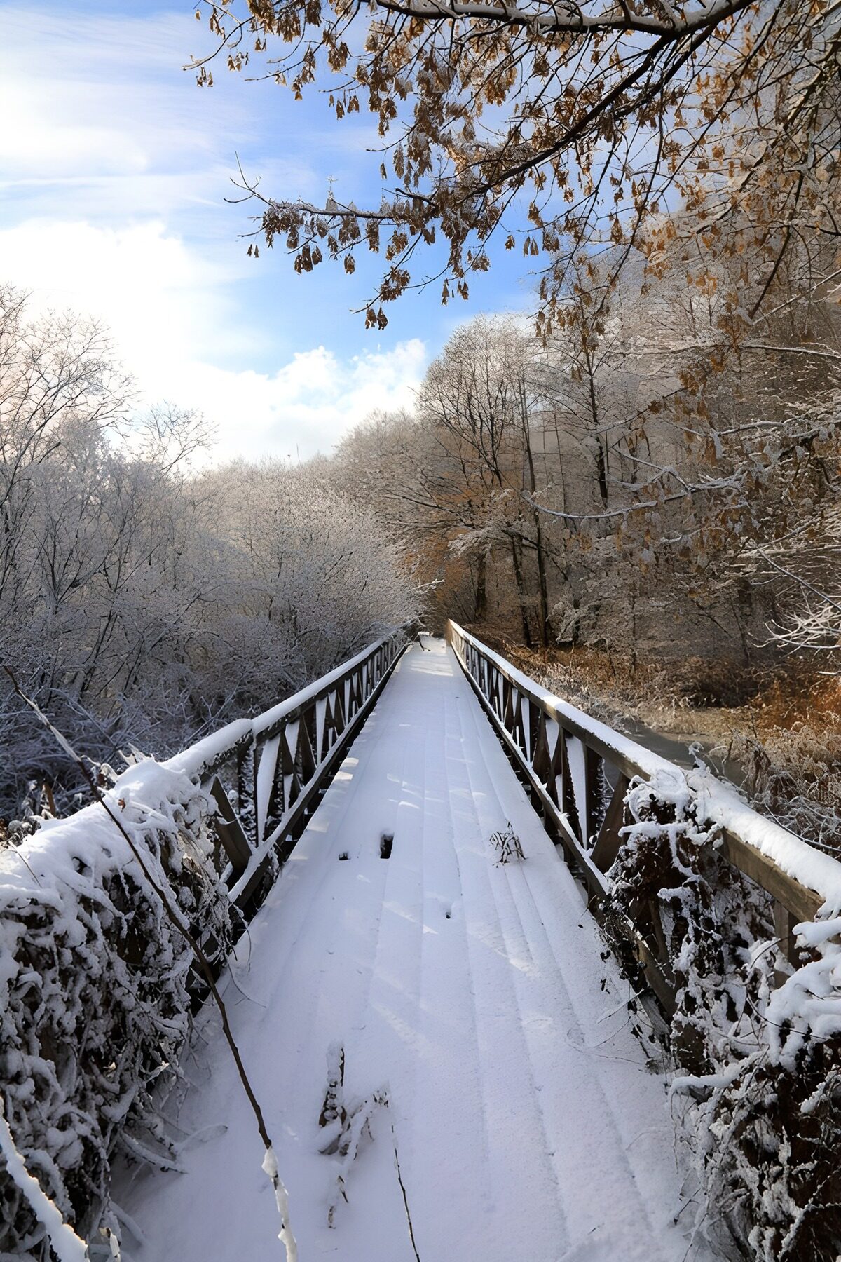 Sneeuwbedekte brug in winterse omgeving