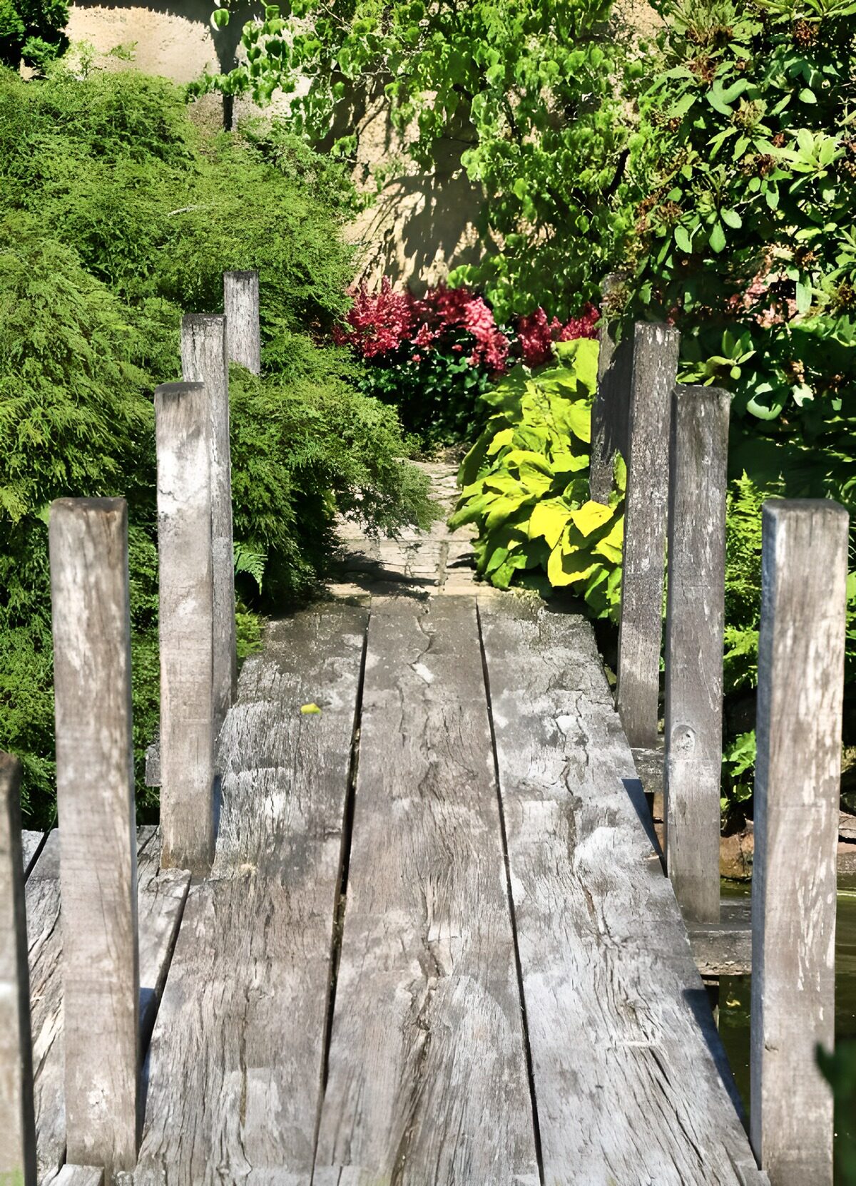 CW6070878: Paden door een groene tuin