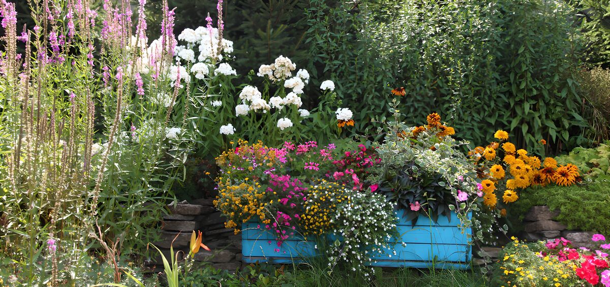 CW6028161: Bloemrijke Zomerborder met Kleurrijke Planten