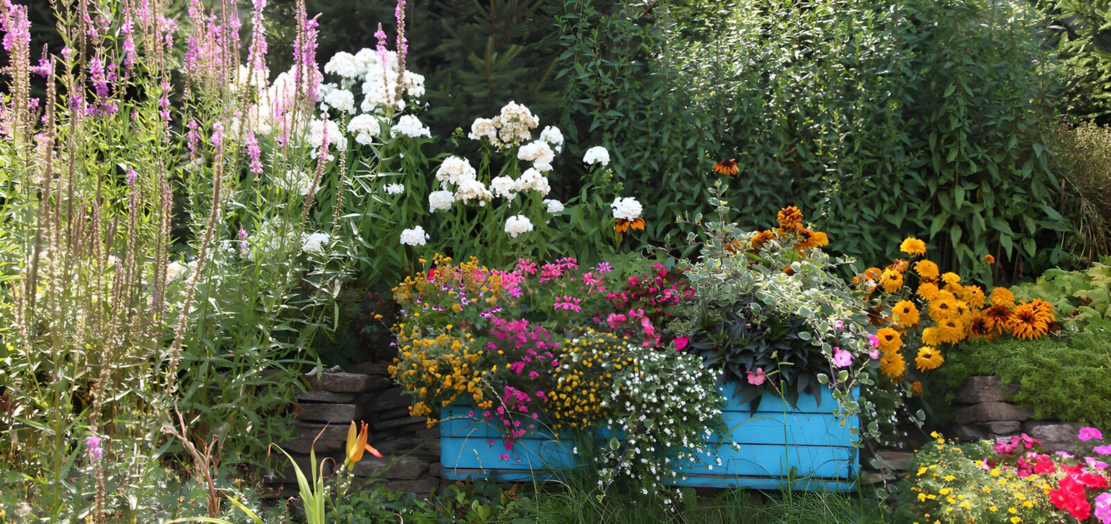 CW6028161: Bloemrijke Zomerborder met Kleurrijke Planten