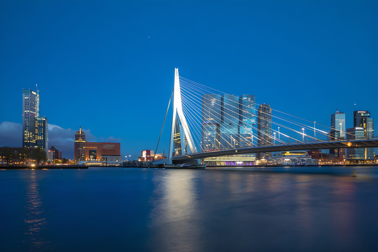 CW5354319: De Erasmusbrug bij Dusk in Rotterdam
