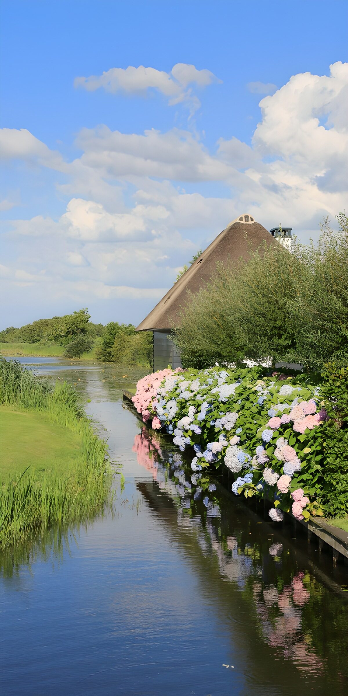 CW8677771: Het rustgevende water en de bloeiende hortensia's