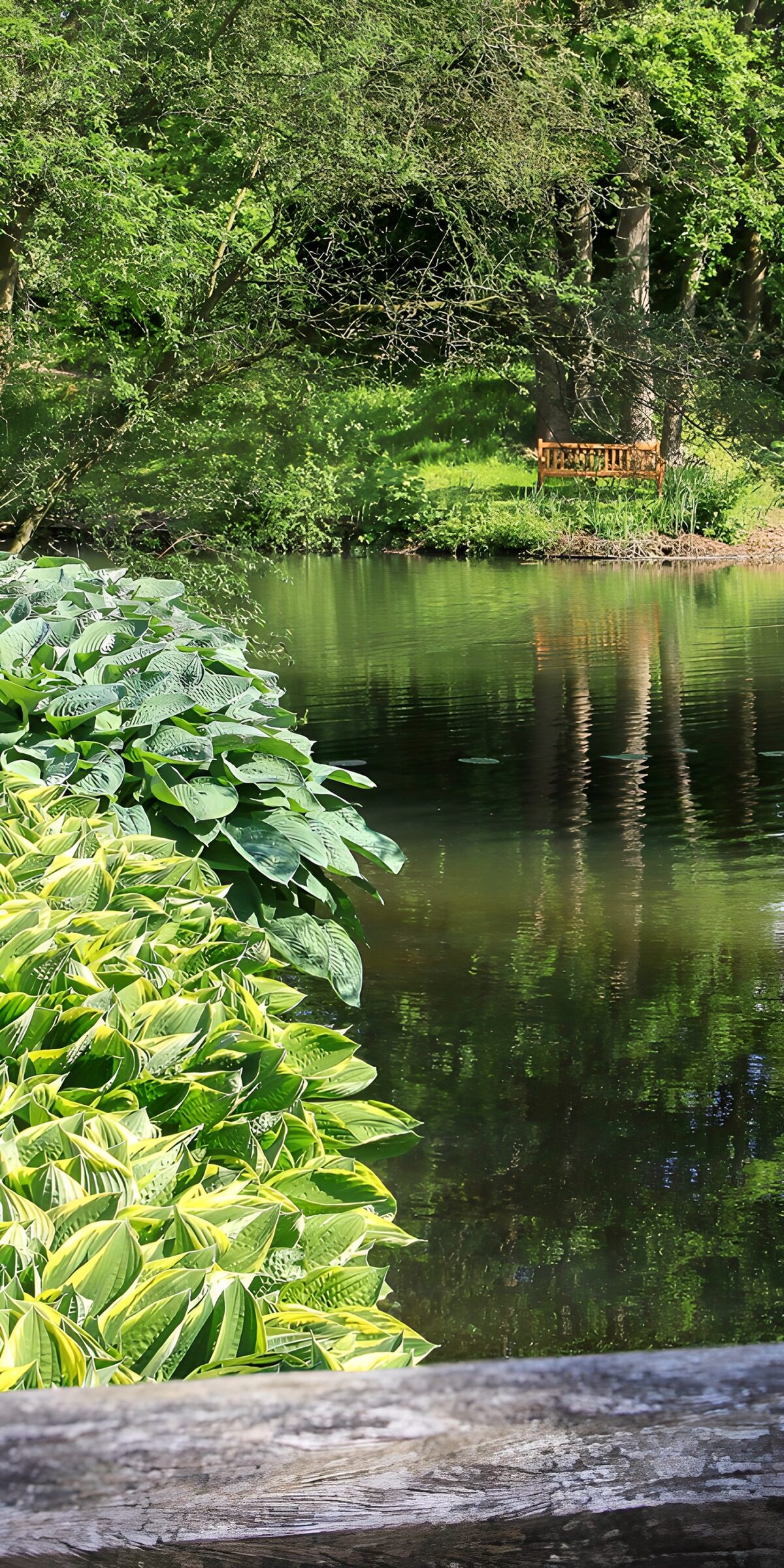CW5763145: Rustig Natuurzicht bij het Water
