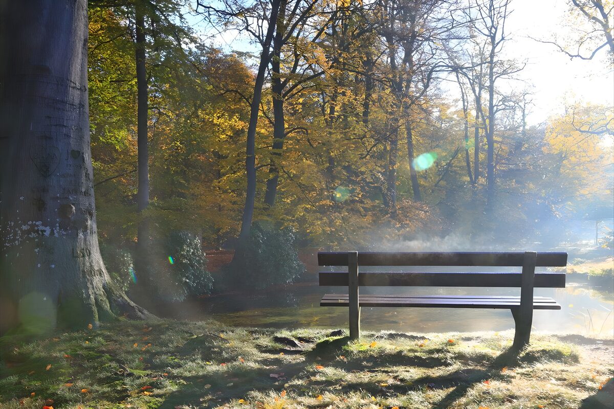 Bankje in een mistig herfstlandschap