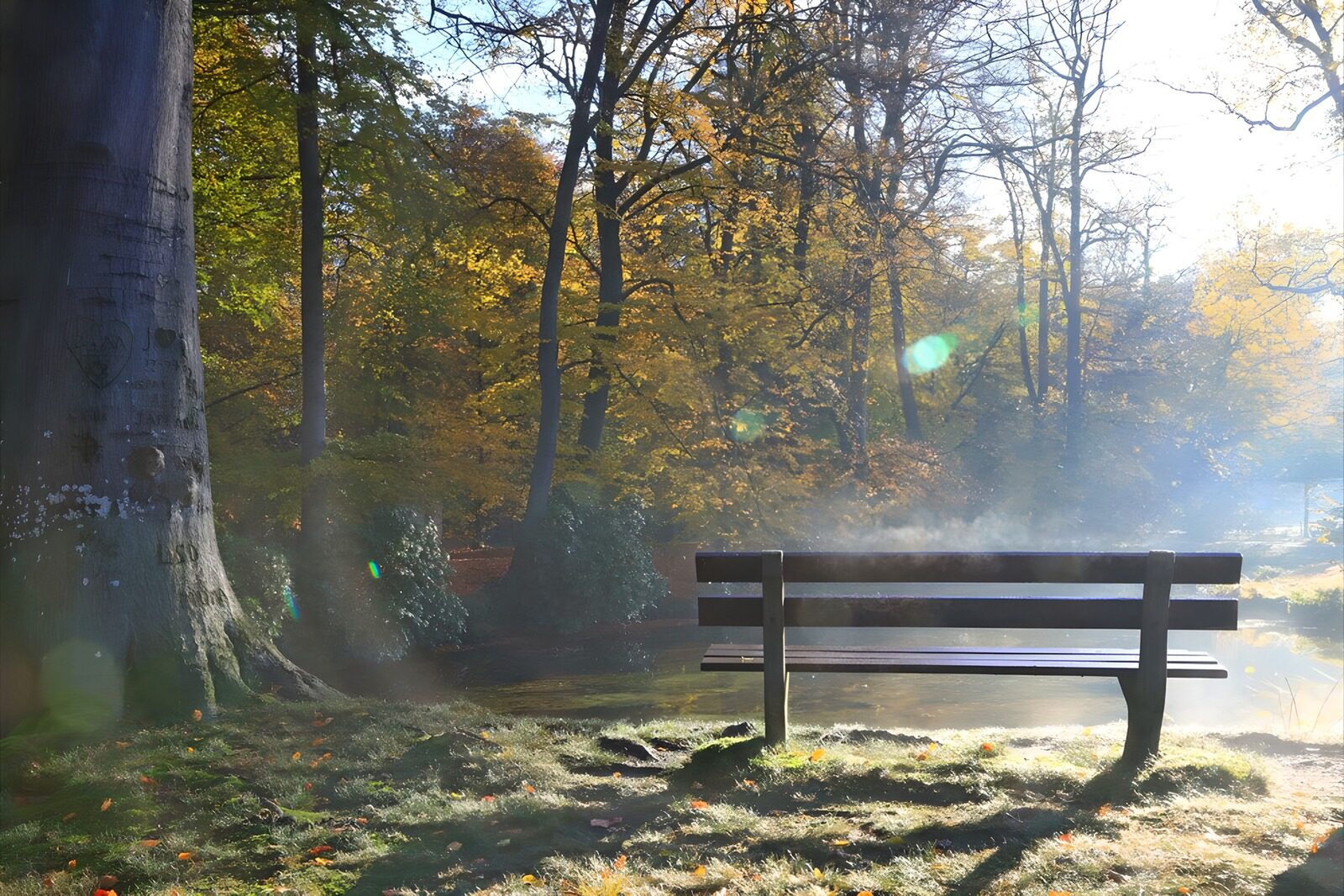 CW8936258: Bankje in een mistig herfstlandschap