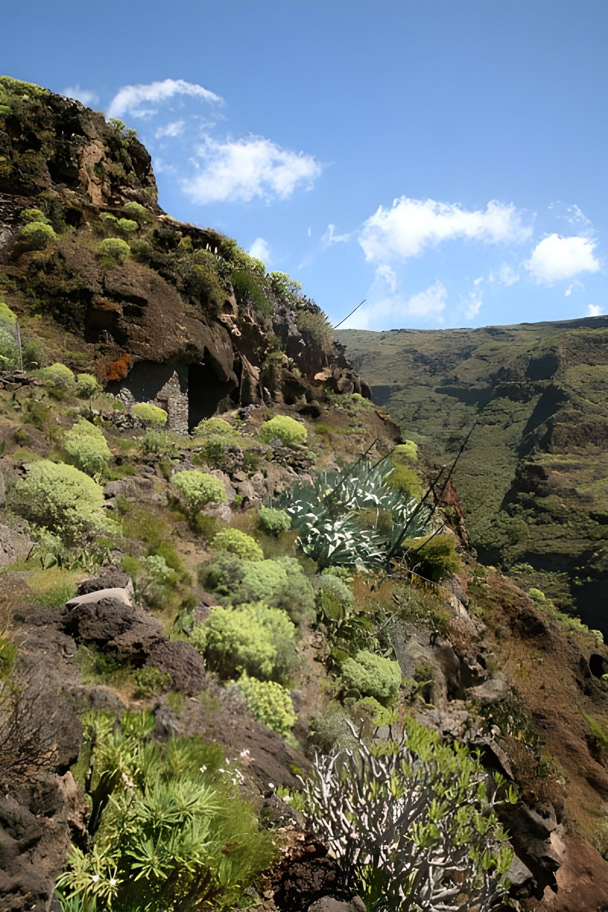 CW9648876: Prachtig groen landschap met kliffen
