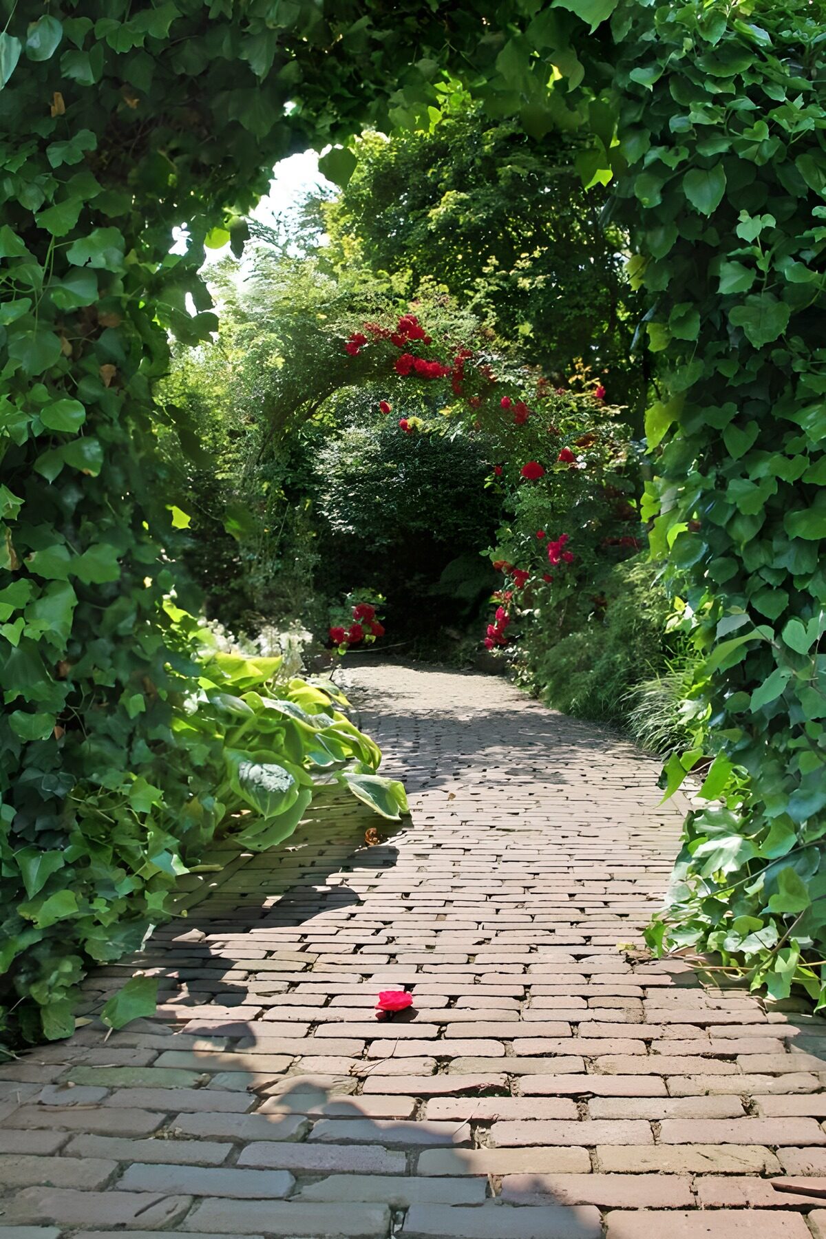 CW5991862: Prachtige bloeiende tuinpoort