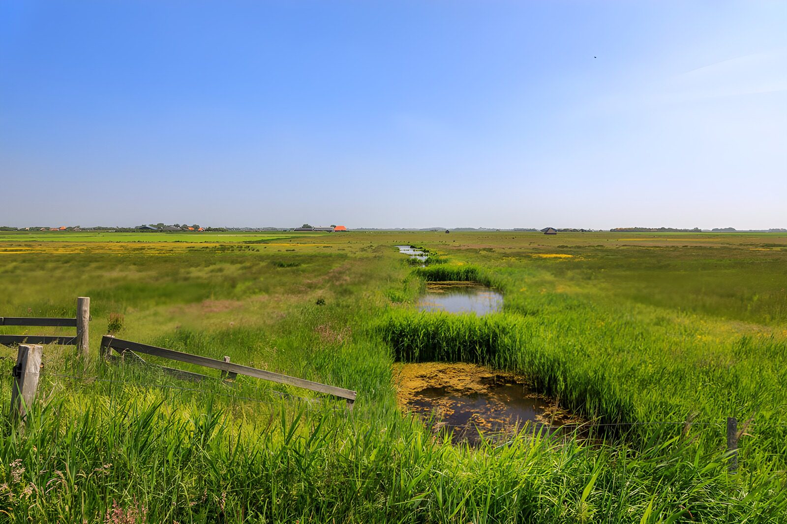 CW5739015: Uitzicht over het Groene Moeraslandschap
