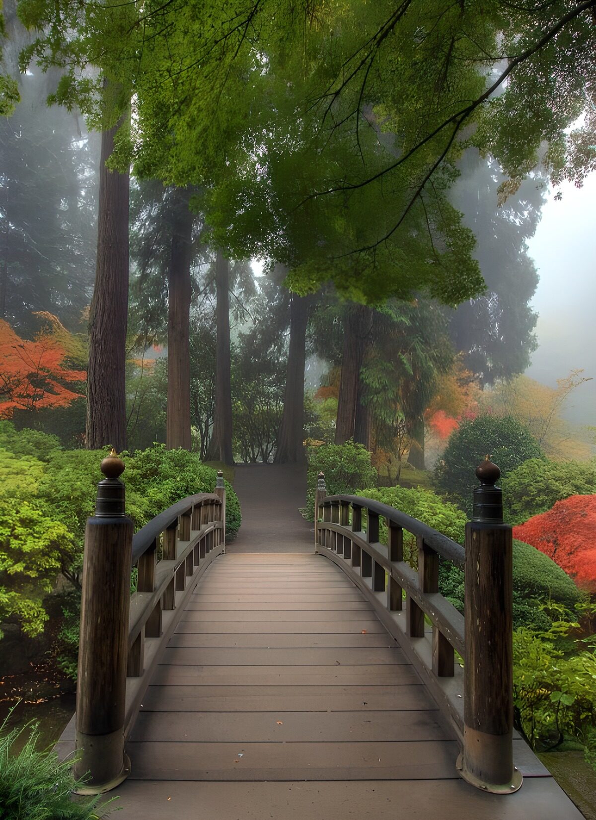 CW7684448: Mystieke Brug in de Natuur