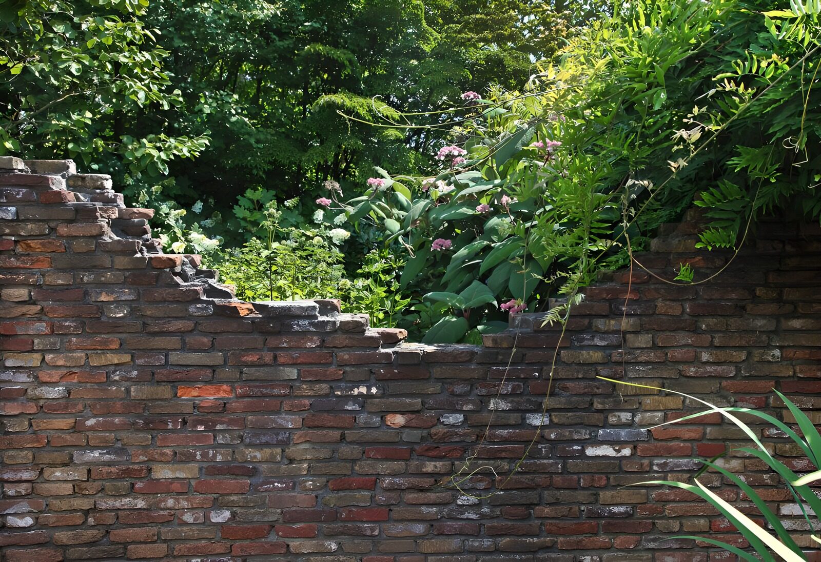 CW3552823: Groene natuur door een gemetselde muur