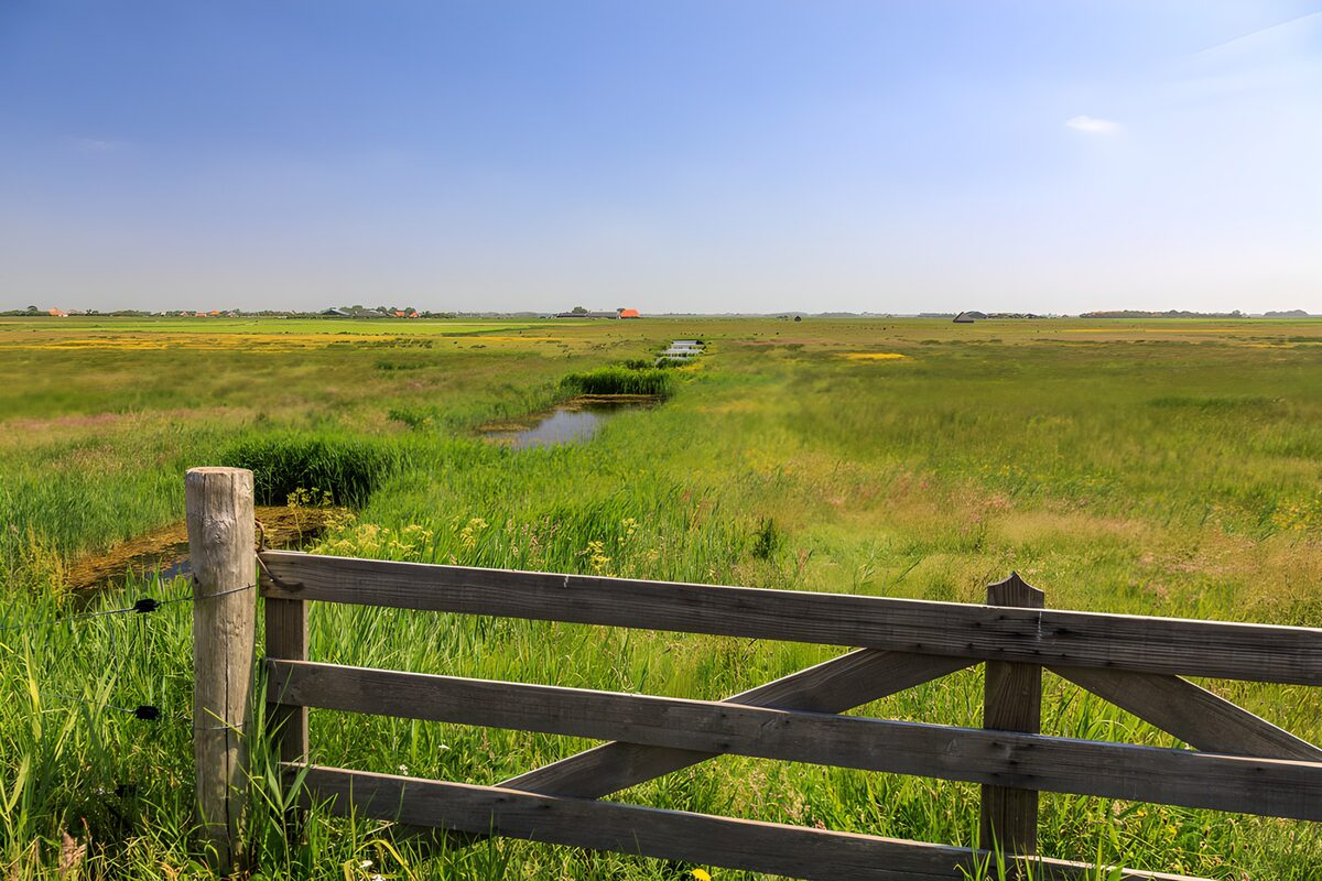 CW9655595: Rustig En Groen Weidelandschap