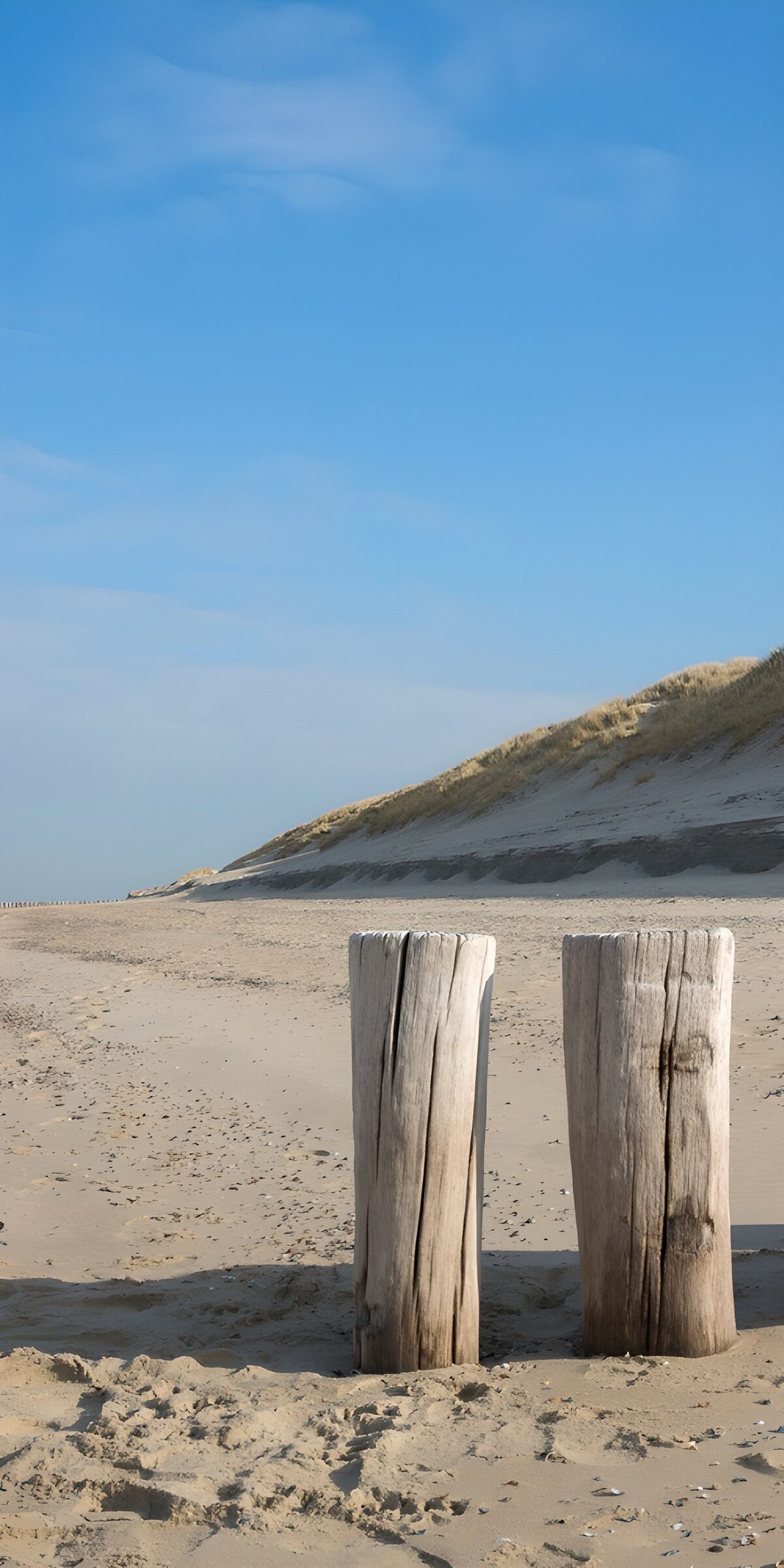 CW5330657: Twee houten palen op het strand