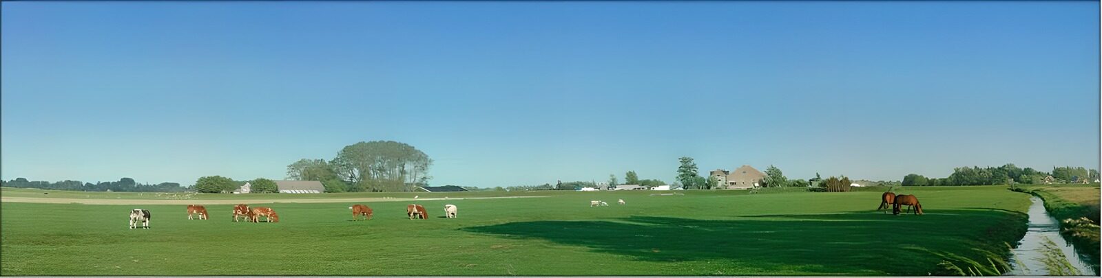 CW9059312: Rustig landschap met koeien en paarden