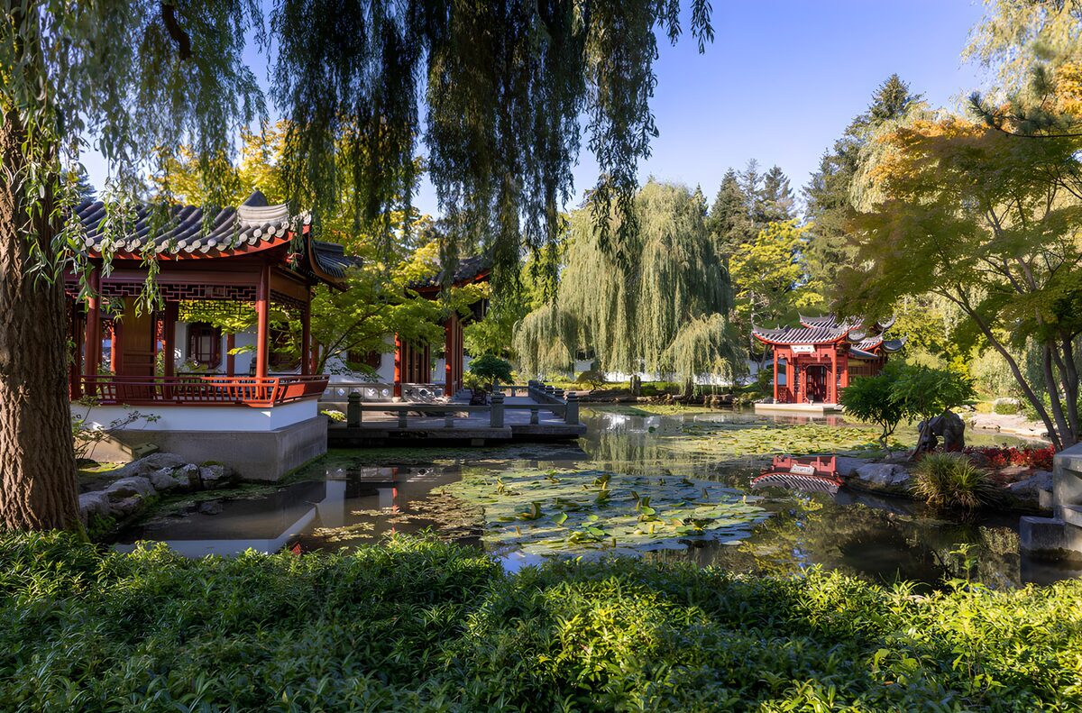 Rustige Chinese tuinen met vijver
