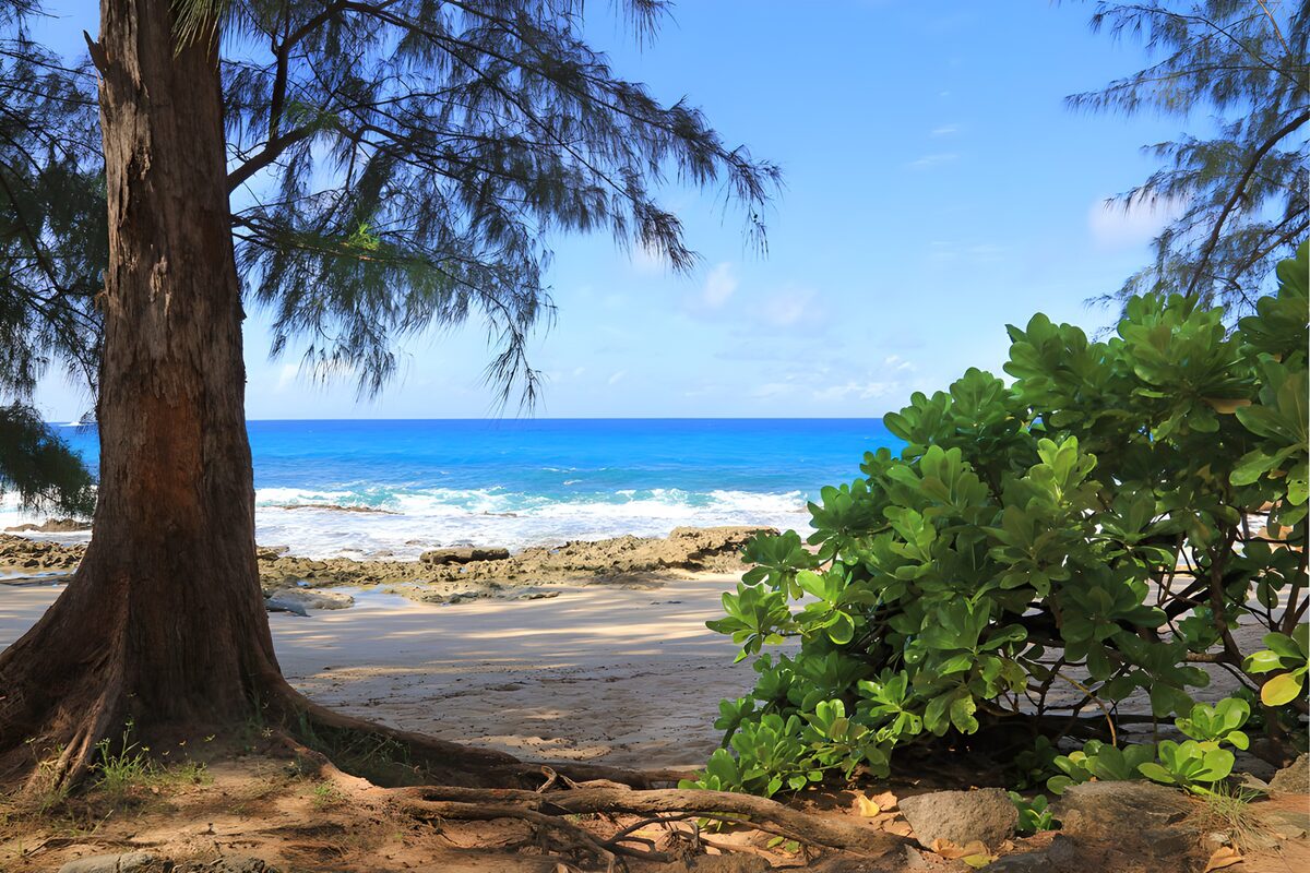 CW8775707: Tropisch Strand met Grotendeels Blauw Water