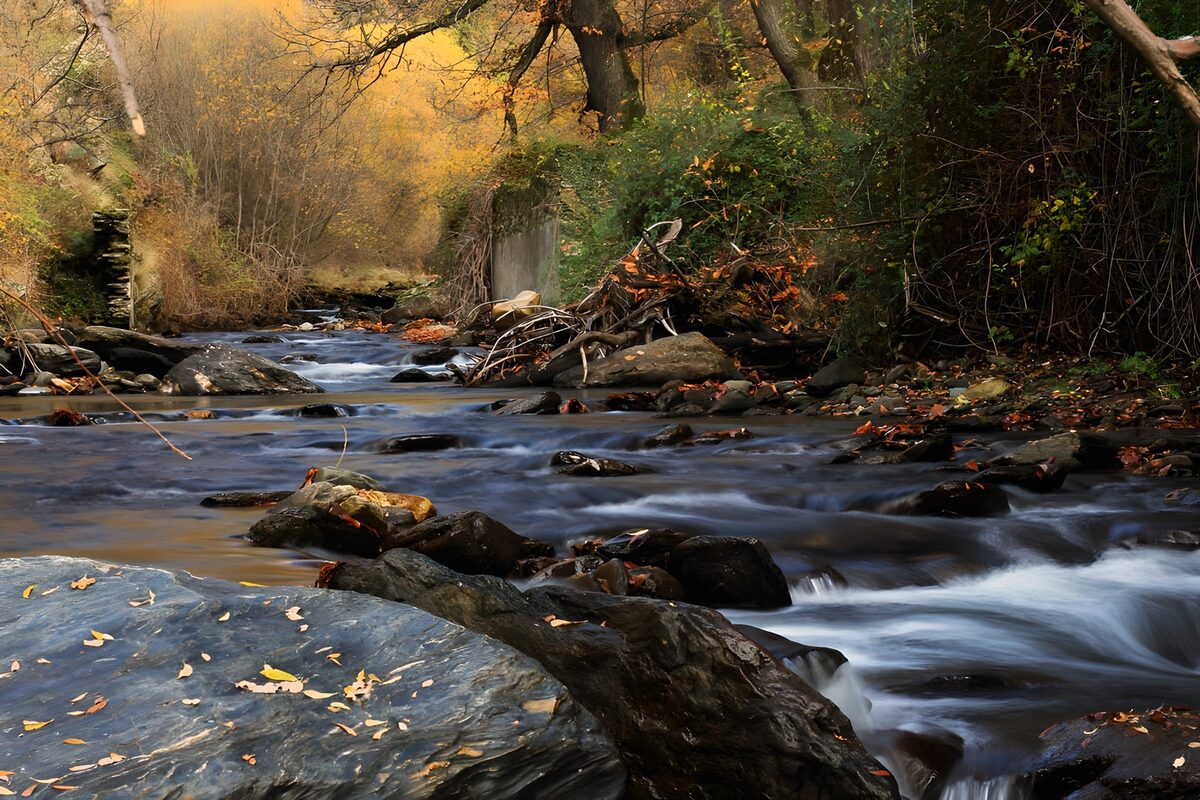 Rustige Stroom in de Herfst