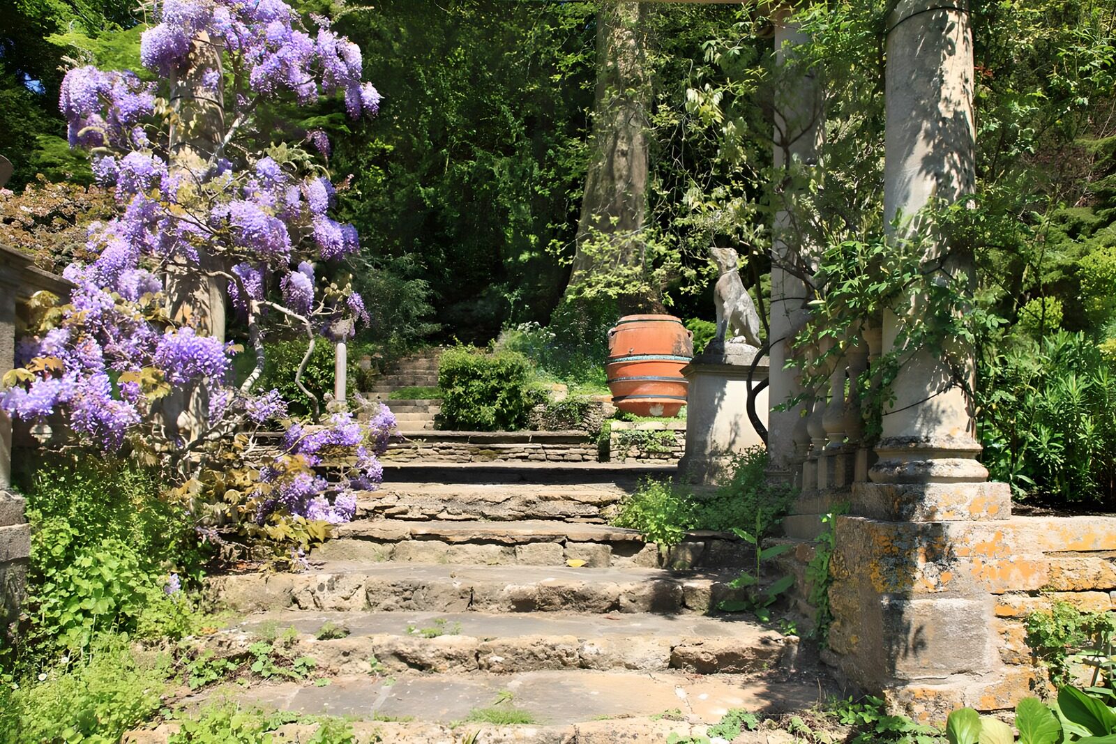 CW4880190: Prachtige bloeiende tuintrap