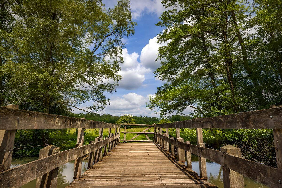 Brug over de serene waterloop