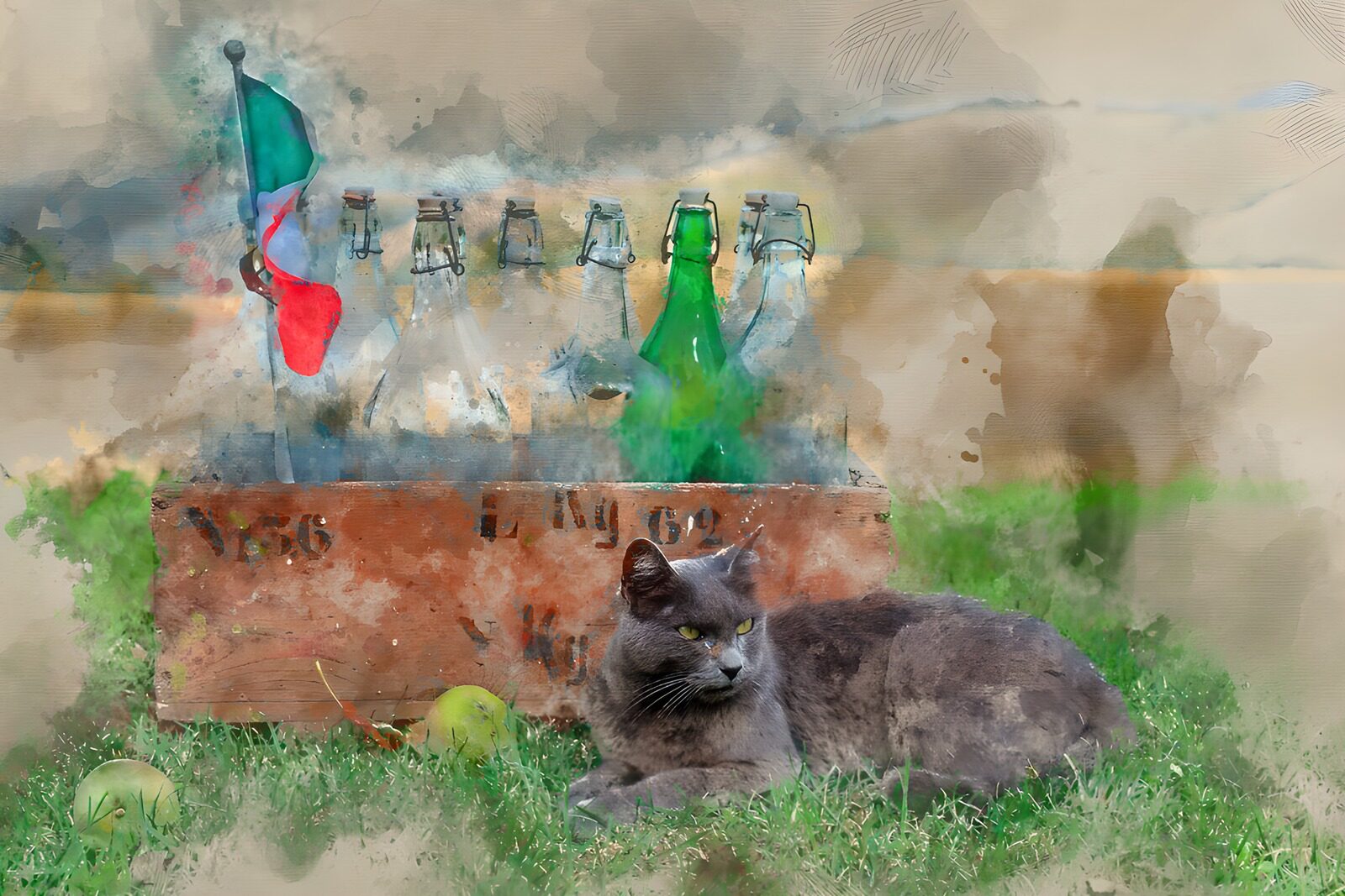 CW1487598: Zittende kat met flessen in de tuin
