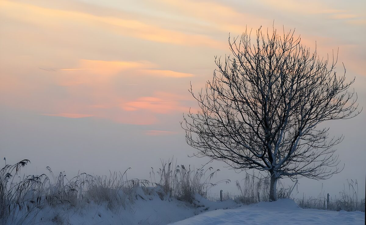 Sereen winterlandschap bij zonsopgang
