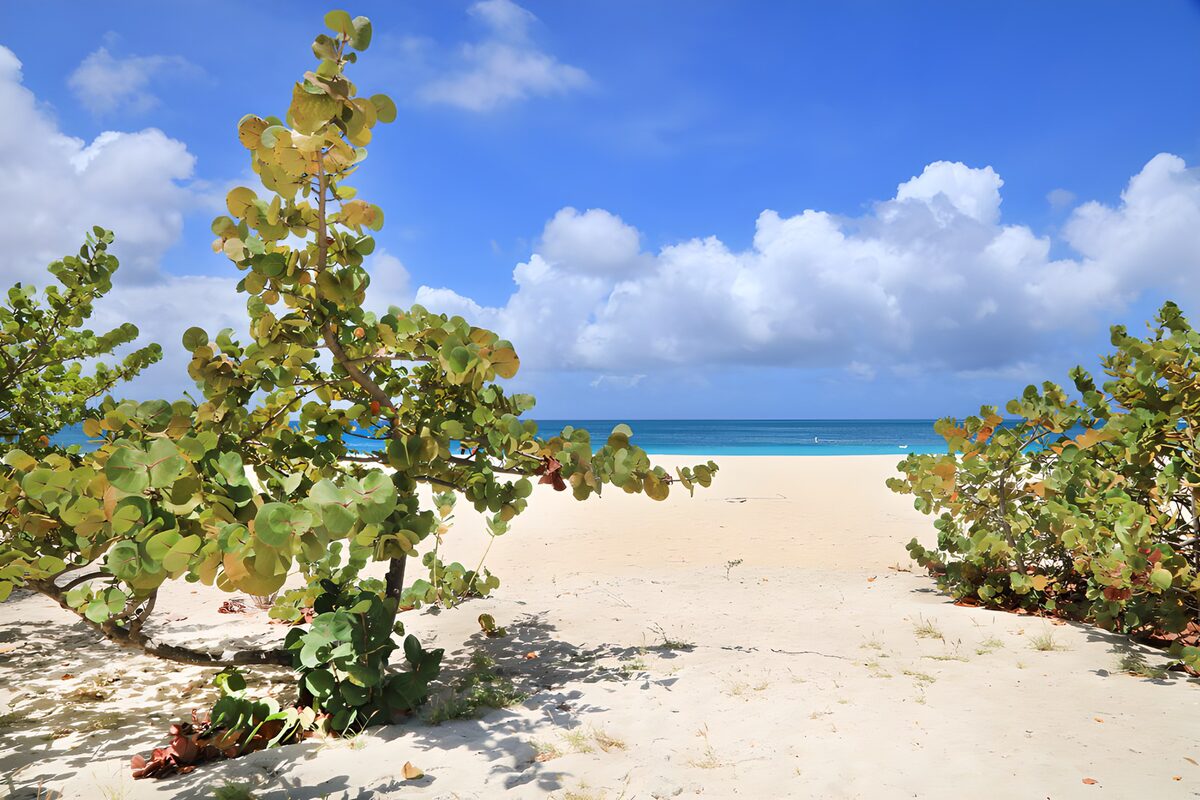 CW6833449: Rustig strand met helderblauwe lucht