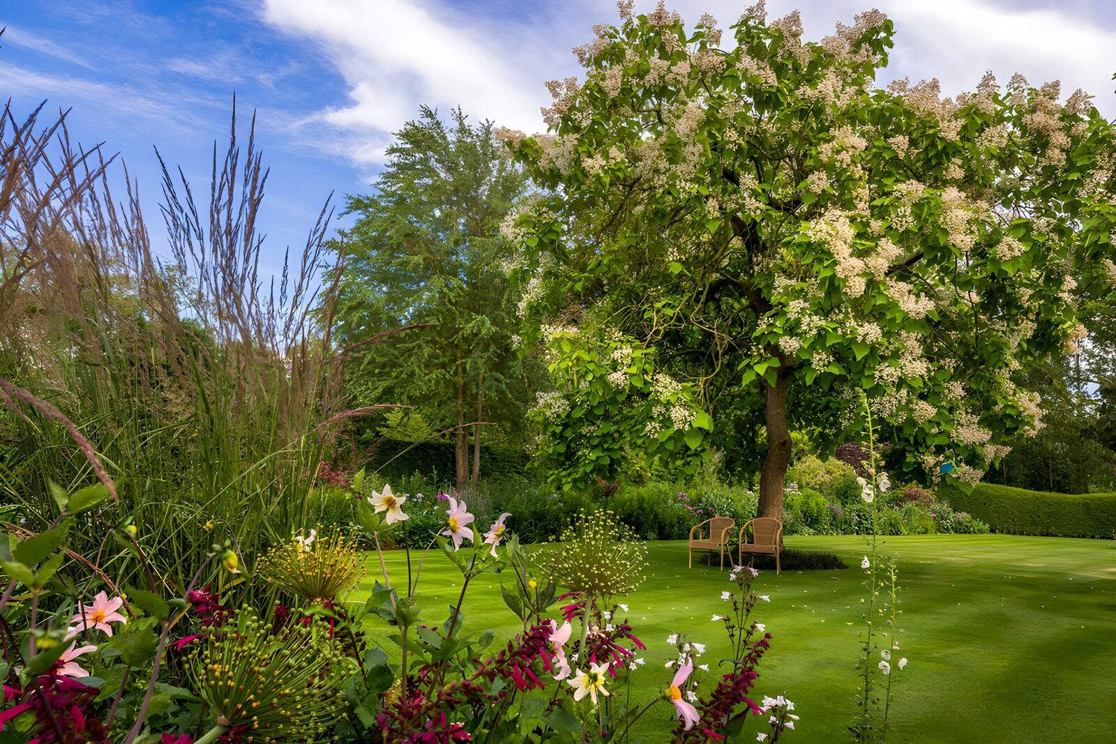 CW7485516: Zomerbloementuin met bankjes