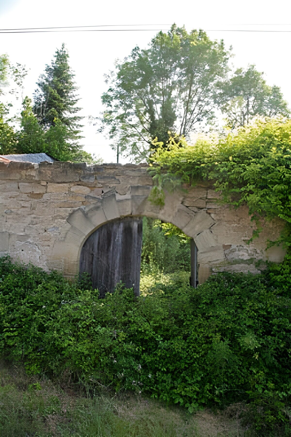 CW9427375: Oude poort omgeven door weelderig groen