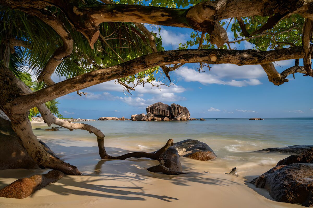 Tropisch strand met rotsen en palmbomen