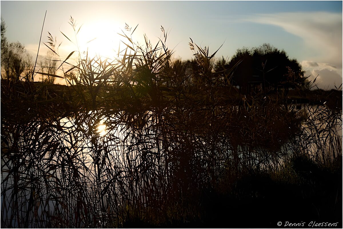 Zonsondergang bij het water