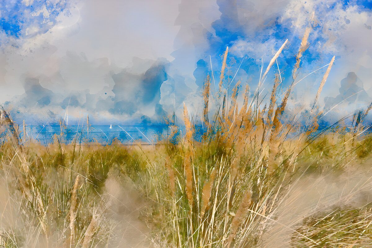 Zeezicht met Gras en Wolken