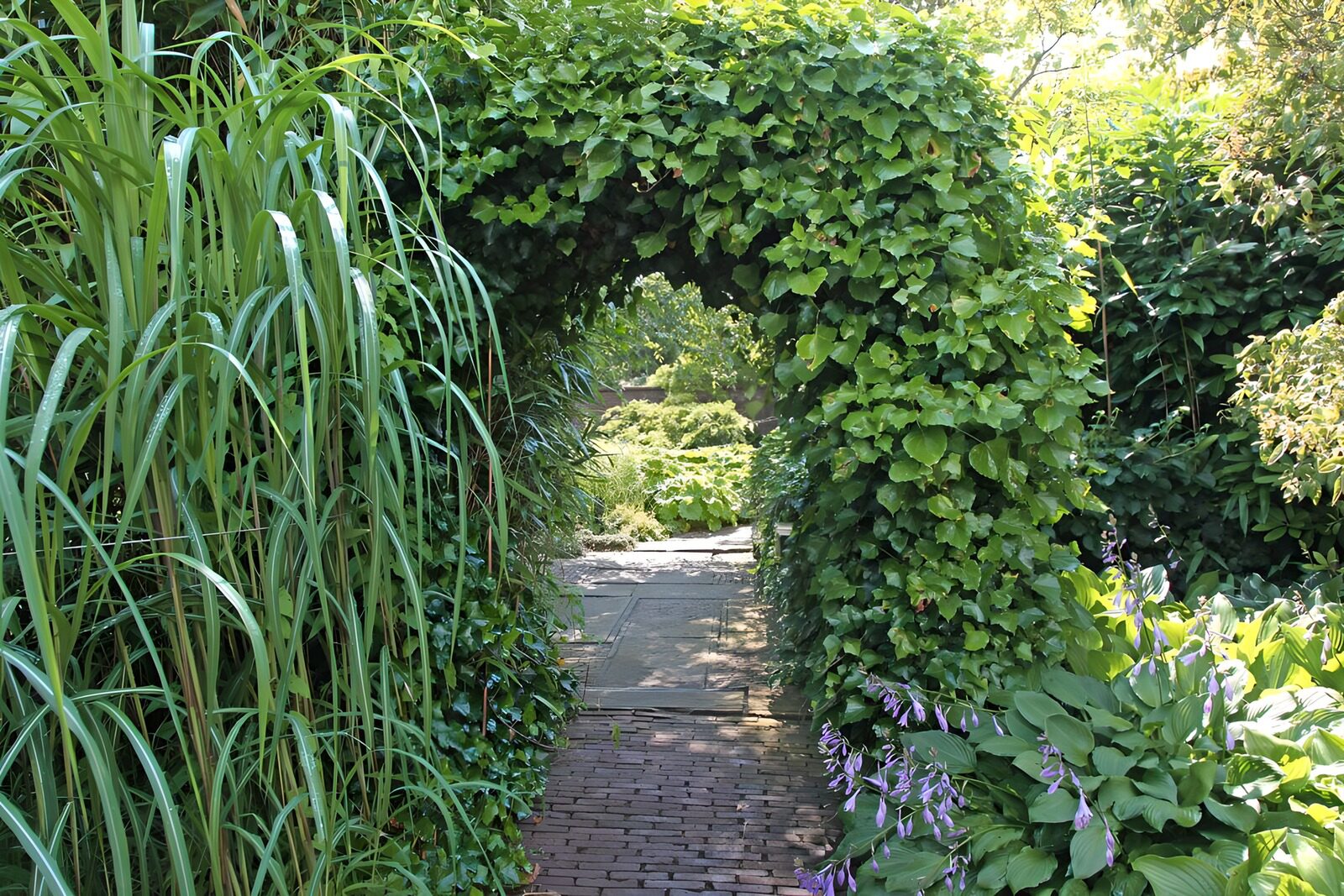 CW8025377: Groene boog in een serene tuin