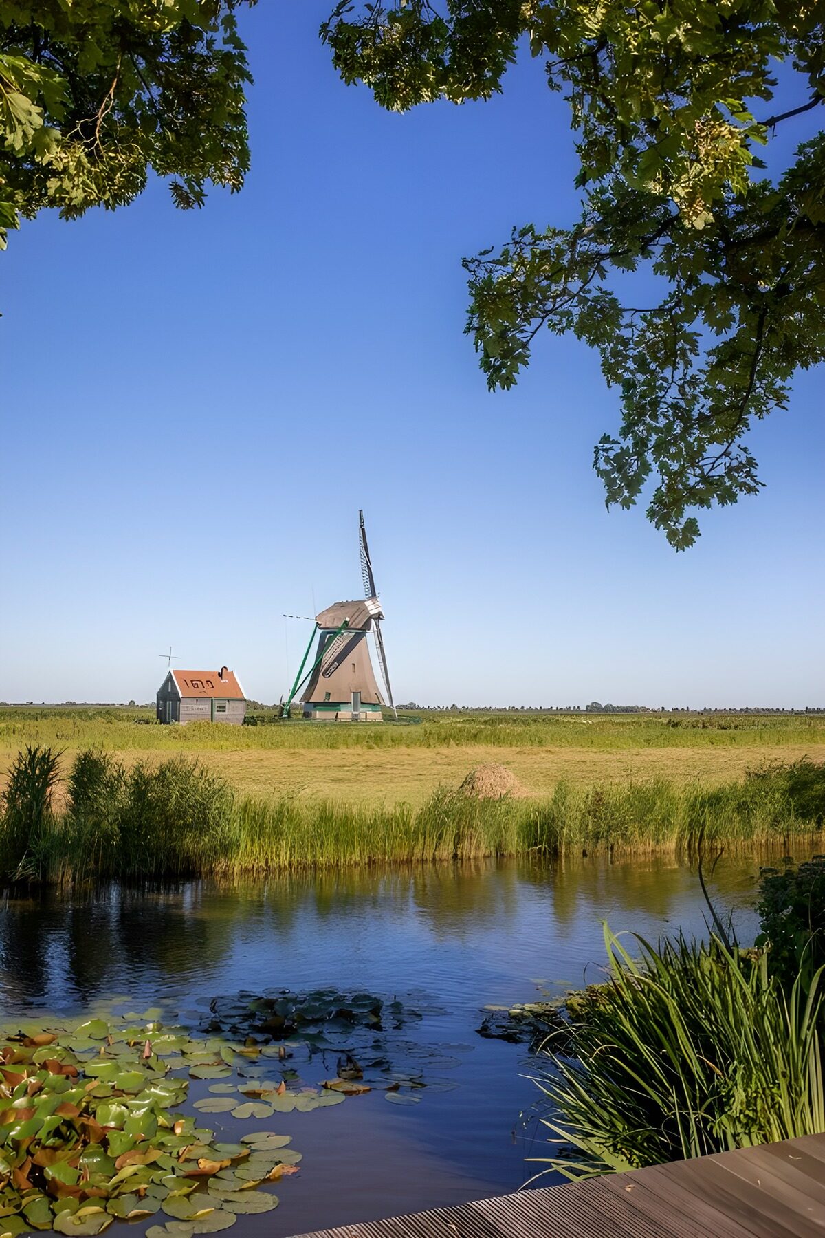Molenlandschap onder een blauwe lucht