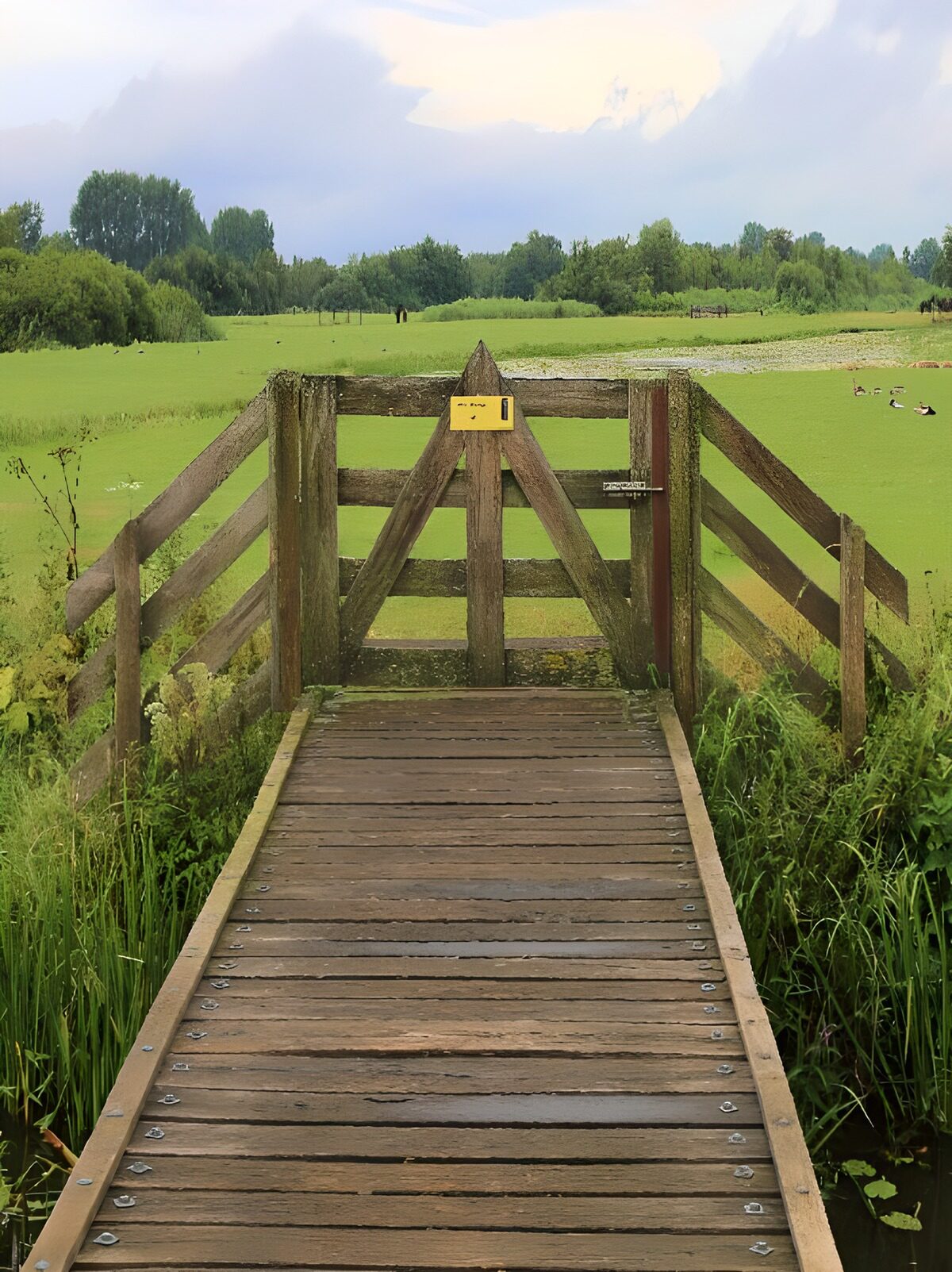 Toegangspoort naar het groene landschap