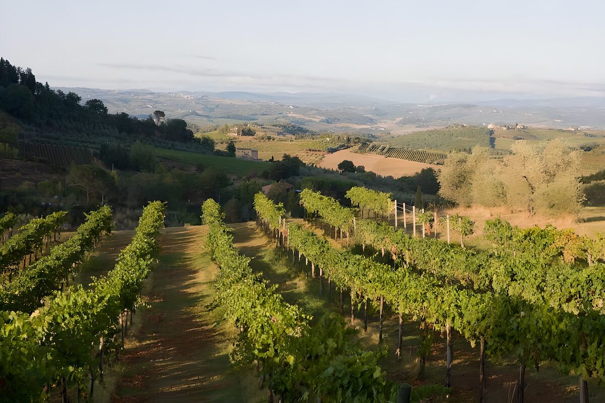 Adembenemende Wijngaarden in Toscane