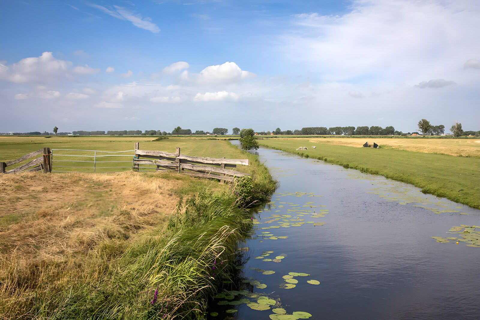 CW9588659: Rustig water in de Nederlandse polder